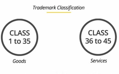 Nice Classification in Trademark